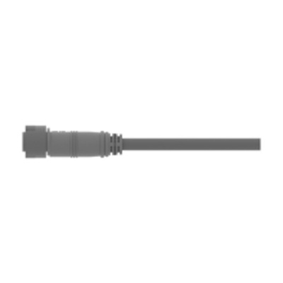 TE Connectivity Straight Male 2 way SlimSeal to Unterminated Sensor Actuator Cable, 1.5m