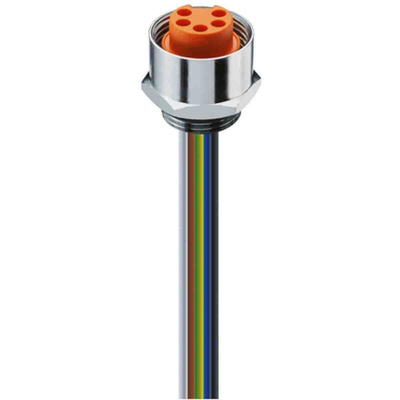 Lumberg Automation Cable Assembly
