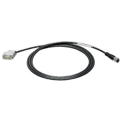 Siemens Cable, 10m