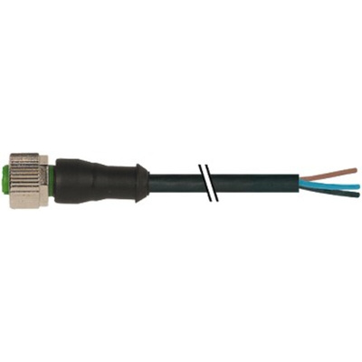 Murrelektronik Limited Straight Female 4 way M12 to Unterminated Power Cable, 3m