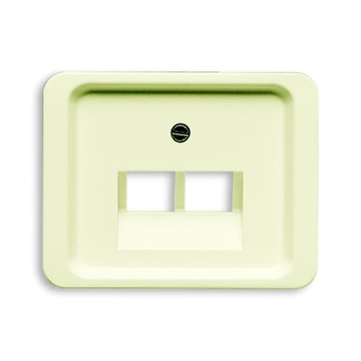 ABB White 2 Gang Plastic RJ45 Cover Plate