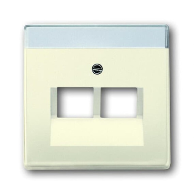 ABB White 2 Gang Plastic RJ45 Cover Plate
