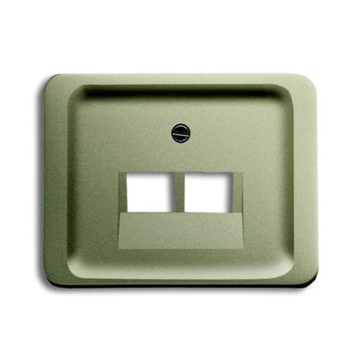 ABB Grey 2 Gang Plastic RJ45 Cover Plate