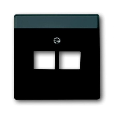 ABB Black 2 Gang Plastic RJ45 Cover Plate