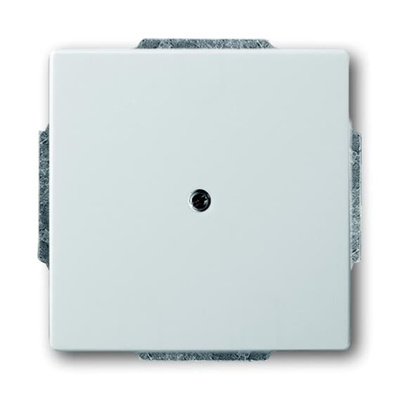 ABB Cover Plate