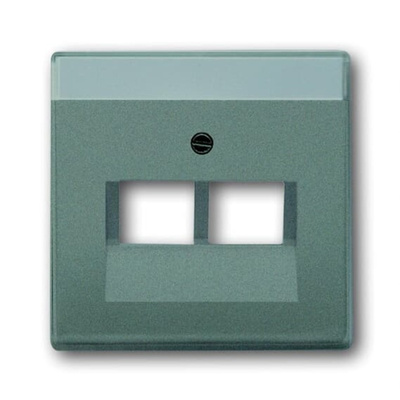 ABB Grey 2 Gang Plastic RJ45 Cover Plate