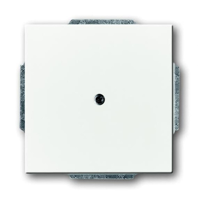 ABB Cover Plate