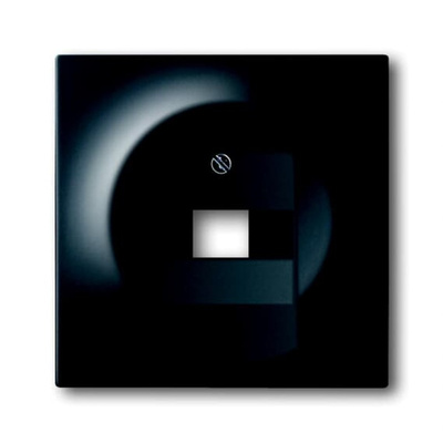 ABB Black 1 Gang Plastic RJ45 Cover Plate
