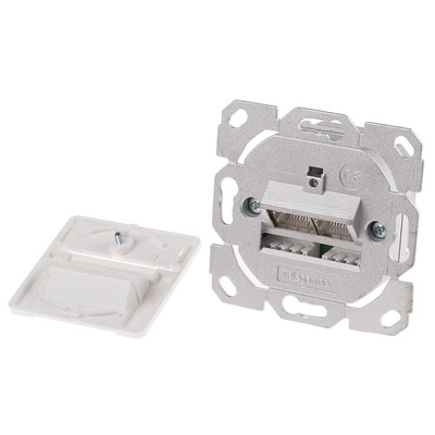 RS PRO Cat5e 2 Way RJ45 Face Plate