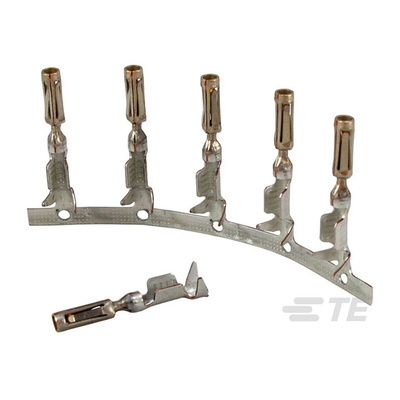 TE Connectivity Automotive Connector Socket, Crimp Termination