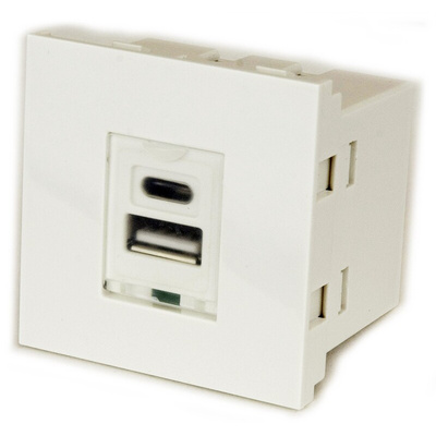 RS PRO Double Gang 2 Way Male USB Type A, USB Type C Faceplate