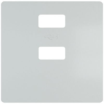 Siemens 2 Way USB Faceplate
