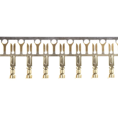 EDAC, 516 Backplane Connector, Straight
