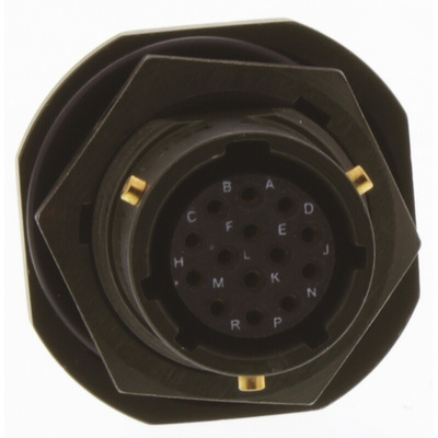 Amphenol Limited, 62GB 14 Way Panel Mount MIL Spec Circular Connector Receptacle, Socket Contacts,Shell Size 12,