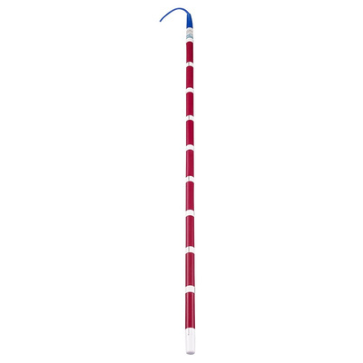 Xylem MultiTrode Series 10 Sensor Probe 2 m Level Probe, Bracket Mounted