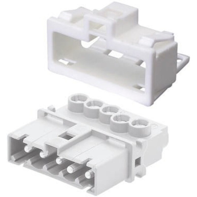 Wieland Gesis Series Power, Male, Panel Mount