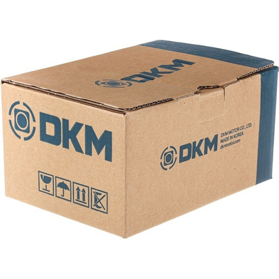 DKM Reversible Induction AC Motor, 25 W, 3 Phase, 4 Pole, 220 V