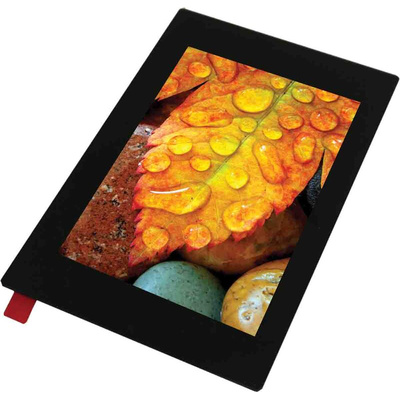 Display Visions EA TFT035-34AITC TFT TFT LCD Display / Touch Screen, 3.5in, 320 x 480pixels