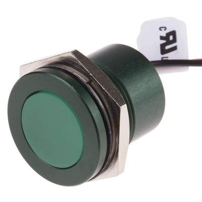 RS PRO Green Panel Mount Indicator, 220V ac, 22mm Mounting Hole Size, Lead Wires Termination, IP67