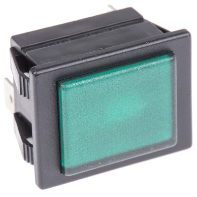 Arcolectric (Bulgin) Ltd Green Neon Panel Mount Indicator, 230V ac, 30 x 22.1mm Mounting Hole Size