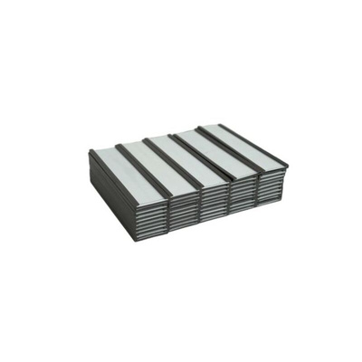 100mm Magnetic Label Holder, Plain Back, 2.9mm Thickness