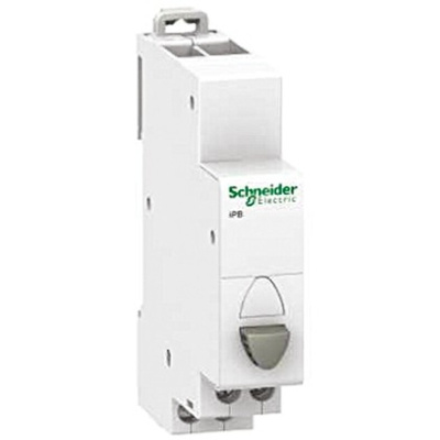 250V ac Push Button Push Button