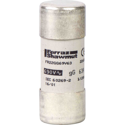 Schneider Electric 100A F Ceramic Cartridge Fuse, 22 x 58mm