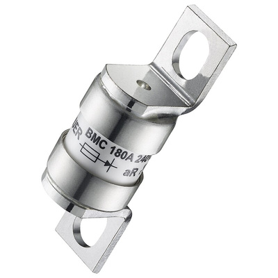 RS PRO 100A Slotted Tag Fuse, 17.4 x 42mm, 240V, 42mm