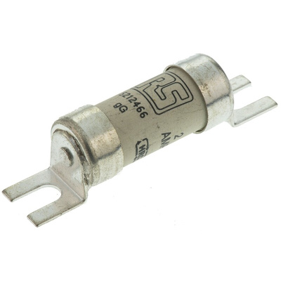 RS PRO 2A British Standard Fuse, A1, 550V ac, 44.5mm