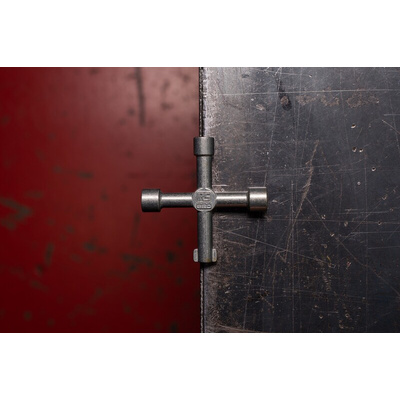 RS PRO Zinc Alloy 5-way Control Cabinet Key