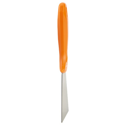 Vikan Stainless Steel Hand Scraper, 1 piece