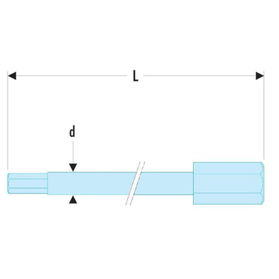 Facom Hexagon Screwdriver Bit, 5 mm Tip