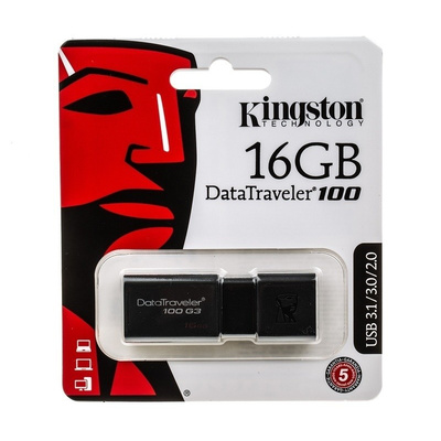 Kingston 16 GB DT100 USB Stick