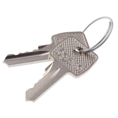 Legrand Key Barrel with 455 barrel For Use With Atlantic Enclosure, Marina Enclosure