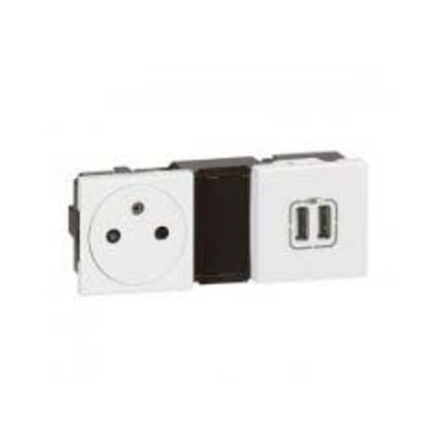 Legrand White 2 Gang Plastic Buchse Faceplate & Mounting Plate