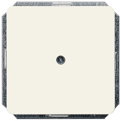 White 1 Gang Blanking Plate, Thermoplastic Screw Mount 5TG