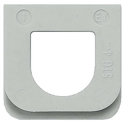 Siemens Koaxial Faceplate & Mounting Plate