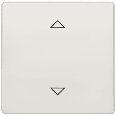 Siemens White Thermoplastic Faceplate & Mounting Plate