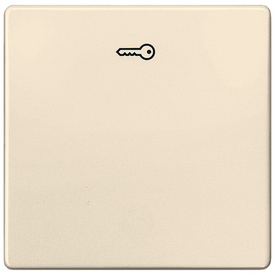 Siemens White Thermoplastic Faceplate & Mounting Plate