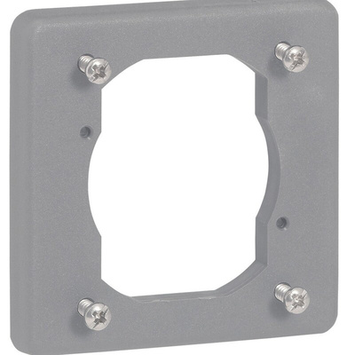 Legrand Adapter Plate