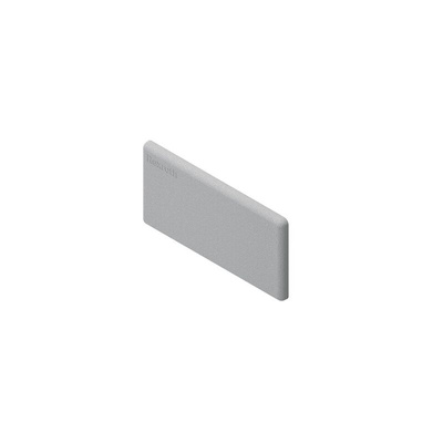 Bosch Rexroth Grey PP Cover Cap, 30 x 60 Strut Profile, 8mm Groove