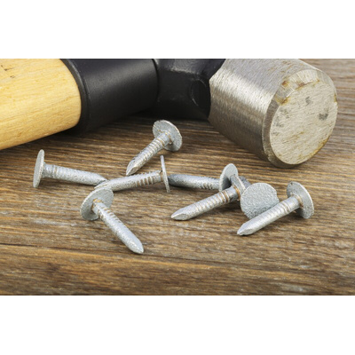 RS PRO Galvanised Nails; 20mm x 3mm; 500g Bag
