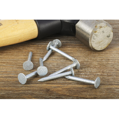 RS PRO Galvanised Nails; 30mm x 3mm; 500g Bag