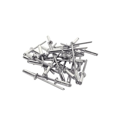 Rapid Agrafage Aluminium Rivet Set Rivet, 4.8mm