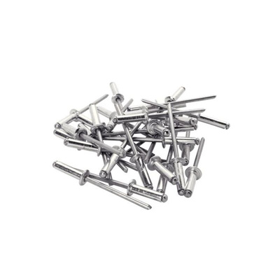 Rapid Agrafage Aluminium Rivet Set Rivet, 4.8mm