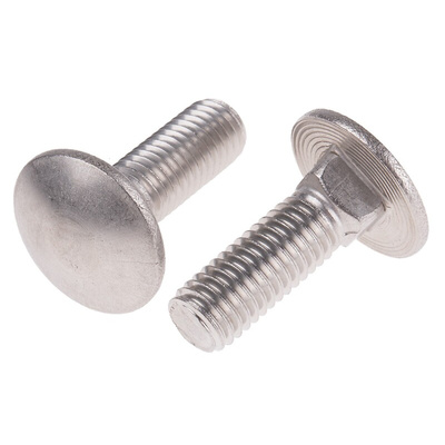 Plain Stainless Steel Coach Bolt, M10 x 30mm