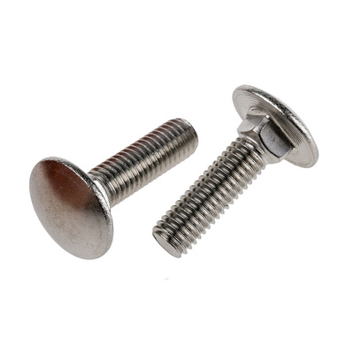 Plain Stainless Steel Coach Bolt, M10 x 40mm