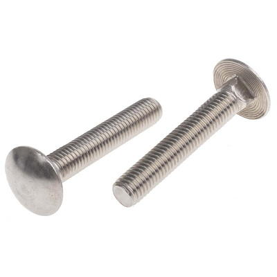 Plain Stainless Steel Coach Bolt, M10 x 60mm