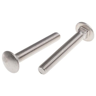 Plain Stainless Steel Coach Bolt, M10 x 70mm