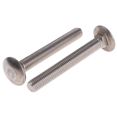 Plain Stainless Steel Coach Bolt, M10 x 80mm